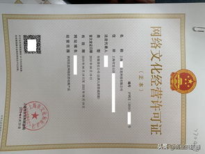 网络文化经营许可证（文网文）办理指南与所需资料详解